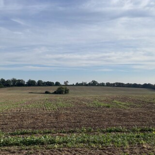 Naturbilder_00001