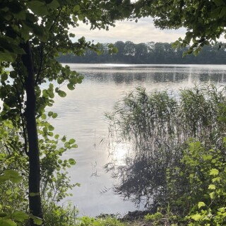 Naturbilder_00003