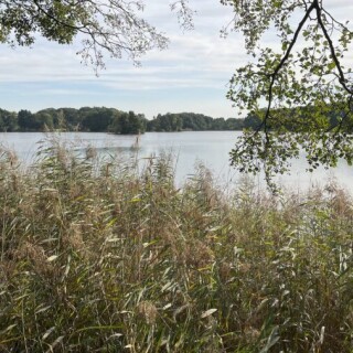 Naturbilder_00004