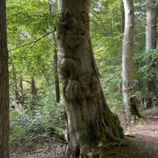 Naturbilder_00006
