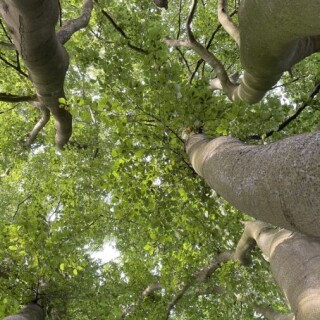 Naturbilder_00008