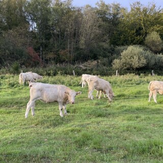 Naturbilder_00009