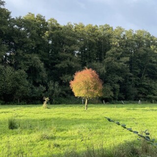 Naturbilder_00010