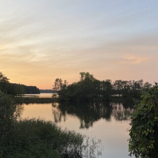 Naturbilder_00013