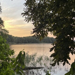 Naturbilder_00014