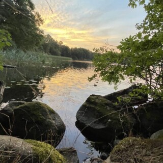 Naturbilder_00015